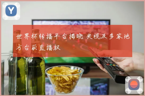 世界杯转播平台揭晓 央视及多家地方台获直播权