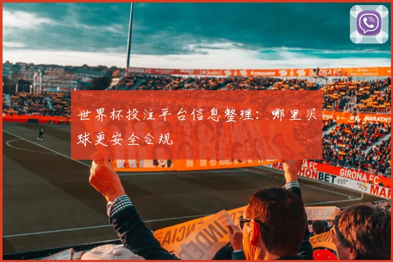 世界杯投注平台信息整理:哪里买球更安全合规