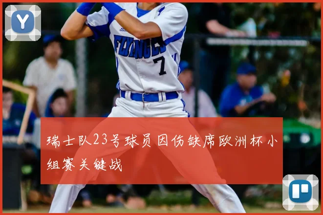 瑞士队23号球员因伤缺席欧洲杯小组赛关键战
