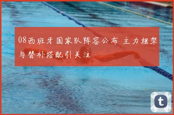 08西班牙国家队阵容公布 主力框架与替补搭配引关注