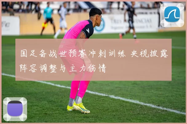 国足备战世预赛冲刺训练 央视披露阵容调整与主力伤情