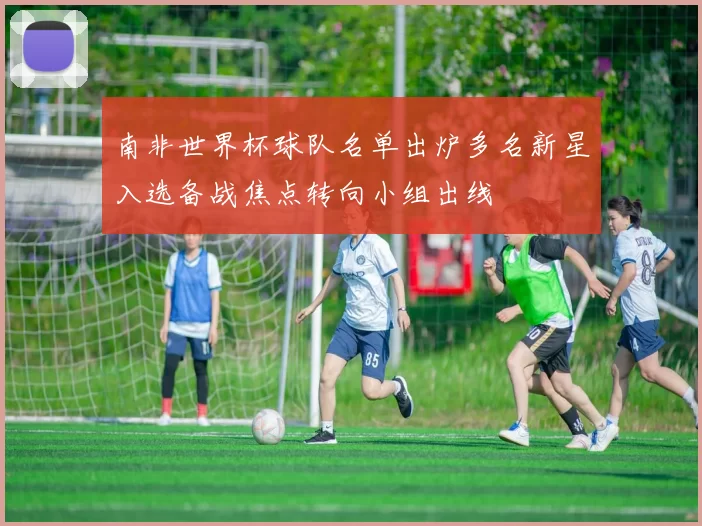 南非世界杯球队名单出炉多名新星入选备战焦点转向小组出线